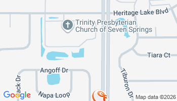 New Port Richey, FL Flood Insurance Agency